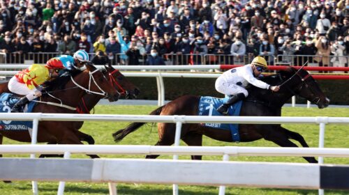 Golden-Sixty-Stewards-Cup-scaled-1-500x2