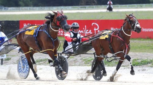 Hayleys-Meddle-blog-image-jan-2023__Resi