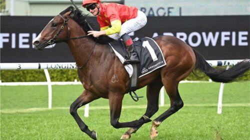 Horse-empire-of-japan-180972-750x500-cop