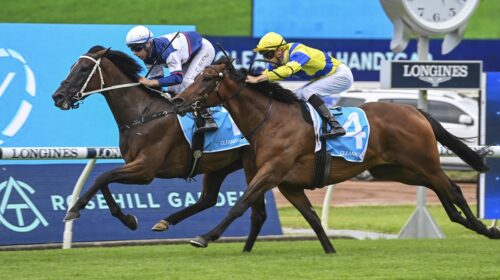 Logan-Street-Lion-defeats-Mahagoni-at-Ro