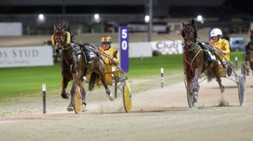 Luk-Chin-sulky-quinella-blog-image__Resi