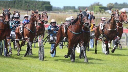 Matador-blog-image-Jan-2023-Ricky-may__R