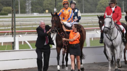 Maven-Belle-A12Z8935-scaled-1-500x280.jp