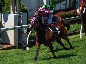 Femme Fireball to improve from good gate