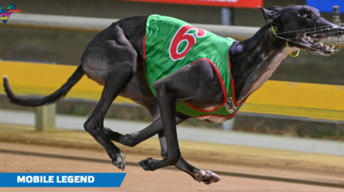 Mobile-Legend-2-Traralgon-Cup-Final-on-2