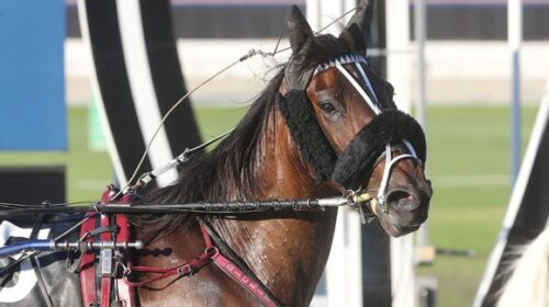 Old-Town-Road-blog-image-v2__ResizedImag