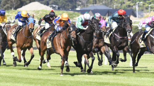 PRISE-DE-FER-WRC-3-12-20222-RACE-IMAGES-