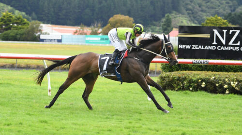 ROCABABY-MARTON-7-1-2023-PHOTO-RACE-IMAG