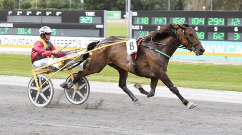 Resolve-Dickie-Blog-2023__ResizedImageWz