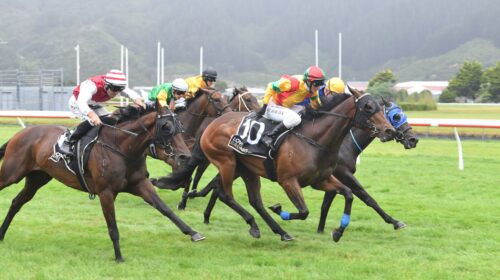 SOLDIER-BOY-1-MARTON-CUP-7-1-2023-PHOTO-