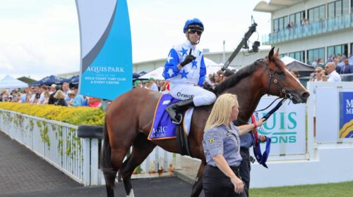 Spiritualised-Magic-Millions-Rising-Star