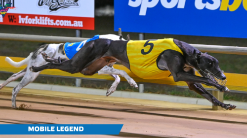 Traralgon-Cup-Mobile-Legend-2-caption-1-