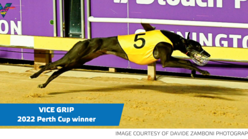 Vice-Grip-Perth-Cup-Final-on-20220319-ca