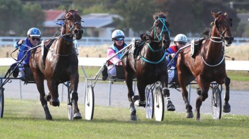 Whats-Wanted-Sheree-Tomlinson-4th-winnin