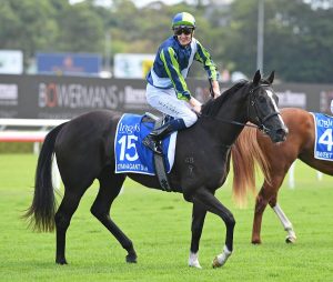 Xtravagant Star a class above in the Inglis Millennium