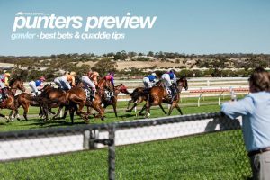 Gawler tips, top odds & quaddie selections | Saturday, January 22