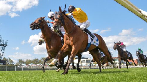 Callsign-Mav-inside-Reg-Ryan-Racing-Phot