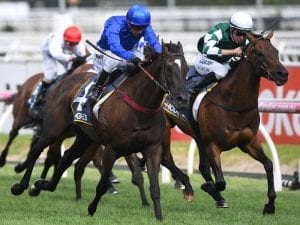 Avilius impresses with Caulfield return