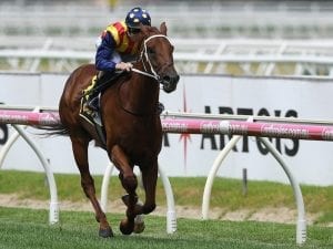 Nature Strip dominant in Rubiton Stakes