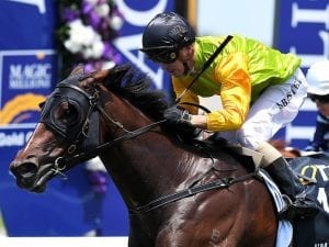 Gollan hopes Millions streak continues