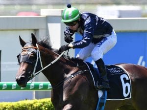 Jeff Lloyd repays debt on Raay Of Dreams