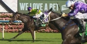 Global Glamour flies the field to win the Light Fingers stakes