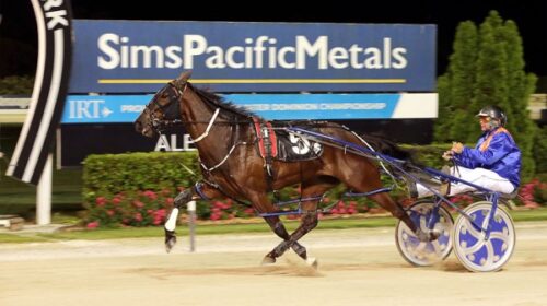 Hey-Bartender-blog-image-Alex-park-2022-