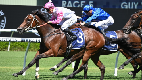 Hope-In-Your-Heart-Guy-Walter-Stakes-500