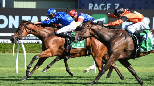 In-Secret-Light-Fingers-Stakes-500x280.p