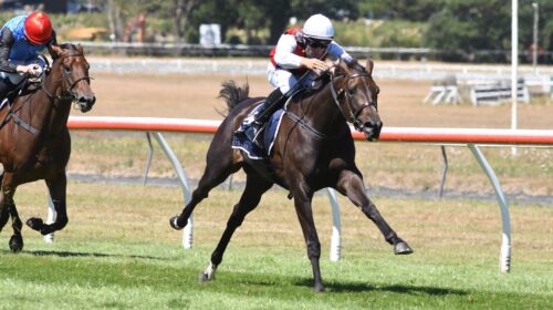 LA-CRIQUE-WRC-29-1-2022-RACE-IMAGES-PHOT