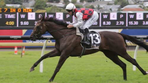 La-Crique-a-7099-002-scaled-1-500x280.jp