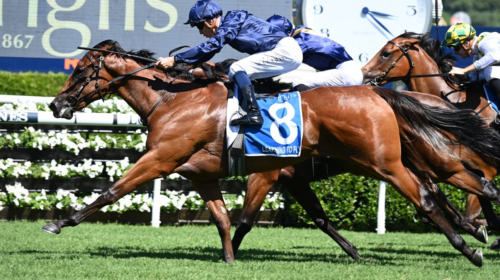 Learning-To-Fly-Inglis-Millennium-500x28