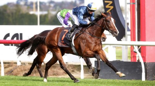 Mustang-Valley-w-1728-scaled-1-500x280.j