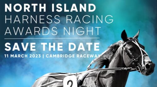 NI-awards-blog-image-save-the-date-2023_