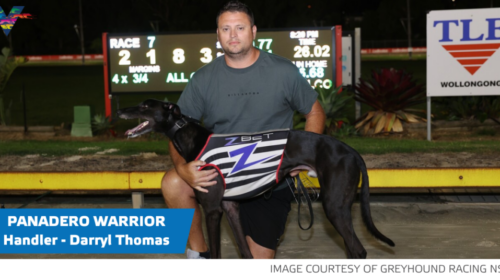 Panadero-Warrior-with-Darryl-Thomas-Bull