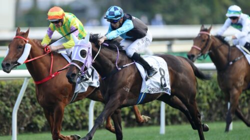 Super-Sunny-Sing-Hong-Kong-Classic-Cup-s