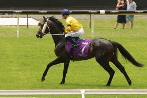 More black-type assaults by Marsh