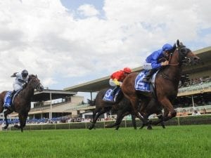 Bivouac adds name to Godolphin 2YO band