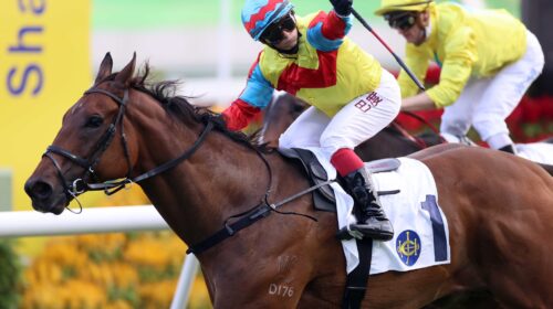 Wellington-Centenary-Sprint-Cup-scaled-1