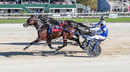 self-assured-wins-rangiora-class-blog-si