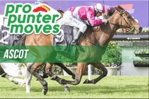 Ascot market movers for Wednesday, March 7