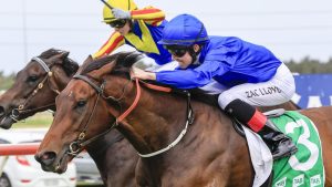 Atheleric proves a class above in The Warra
