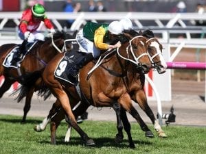 A look at the history of G1 Australian Cup