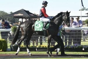 Shelley Beach Road in Country Champs Final