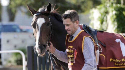 Coventina-Bay-Patterson-R-4185-scaled-1-