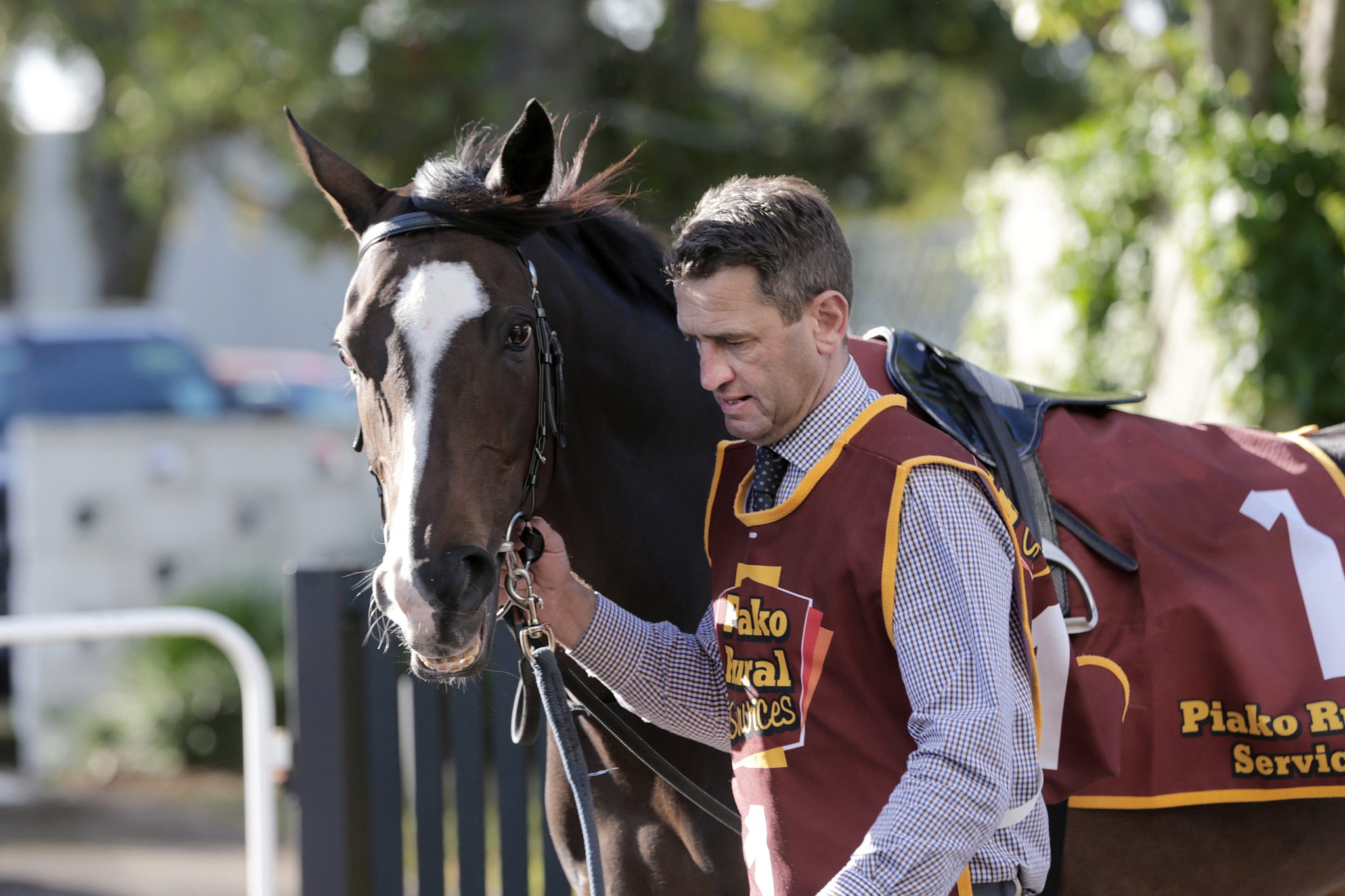 Coventina-Bay-Patterson-R-4185-scaled-2.