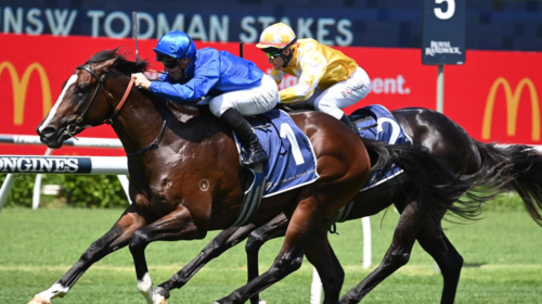 Cylinder-Todman-Stakes-500x280.png