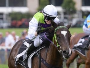 Joe Cleary's girl ready for Eagle Farm