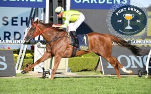 Punt Drunk: Could Barocha make it three-from-three in Hong Kong?
