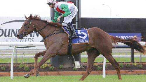 Ethereal-Star-win-L-Challenge-S-Pukekohe